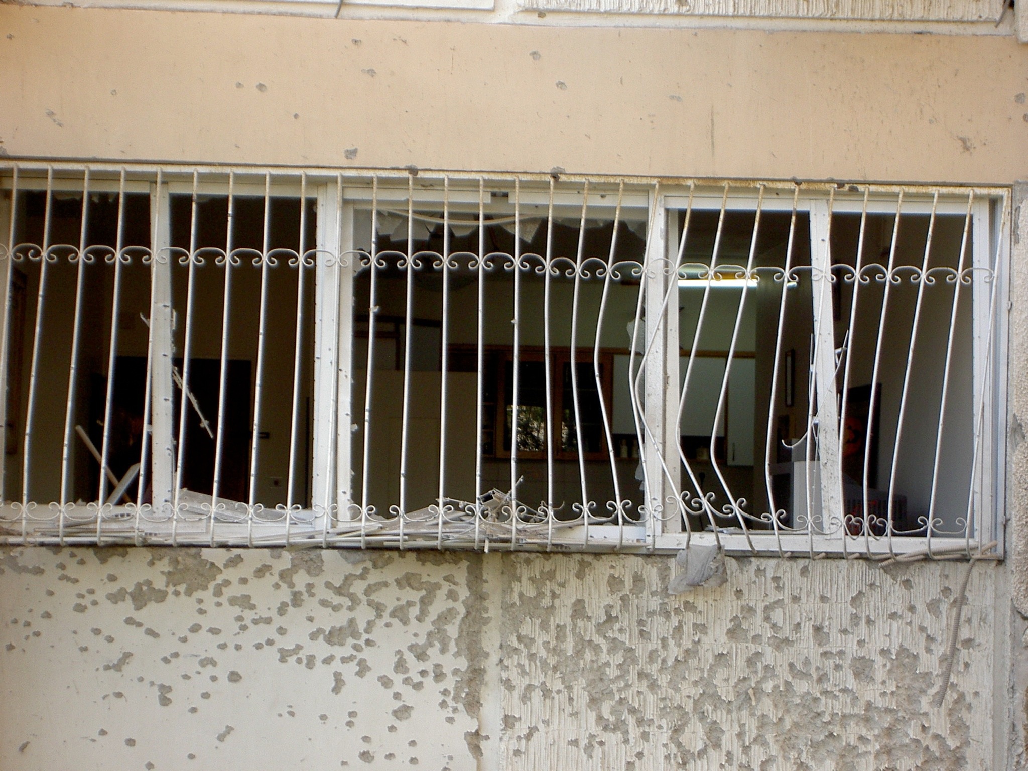 rabbidavid-israel-123757