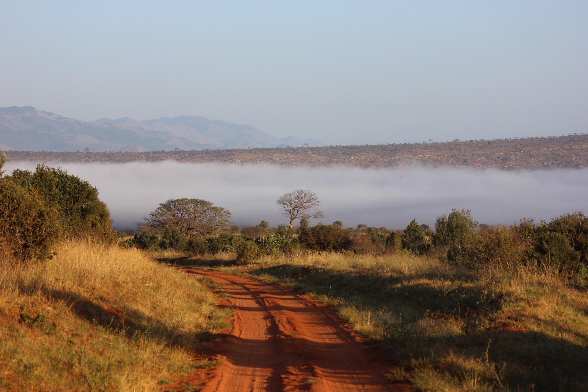 kikatani-tsavo-111701_1920